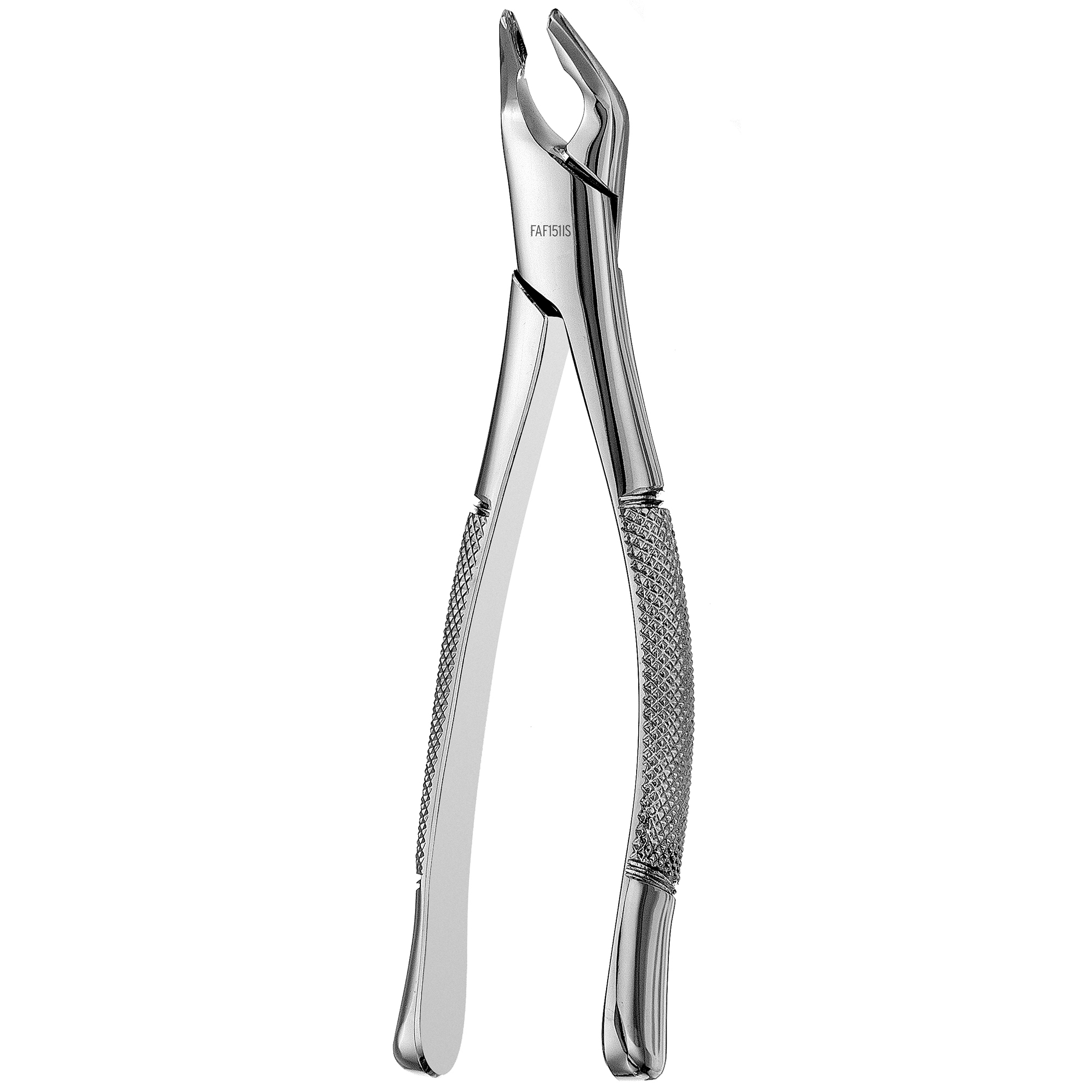 Pinza Estrattiva Dentale #151 Inferiore – Professional Surgical Instruments