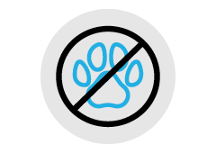 No animal components